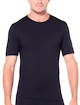 Herren T-Shirt Icebreaker  200 Oasis SS Crewe Black