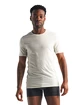 Herren T-Shirt Icebreaker  Anatomica SS Crewe white