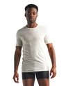Herren T-Shirt Icebreaker  Anatomica SS Crewe white