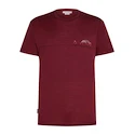 Herren T-Shirt Icebreaker Merino 150 Tech Lite SS T Sing Li Cmp Port XL