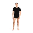 Herren T-Shirt Icebreaker Merino Anatomica 150 SS Crewe Black