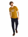 Herren T-Shirt Icebreaker  Tech Lite II SS Tee