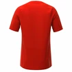 Herren T-Shirt Inov-8  Base Elite SS Red