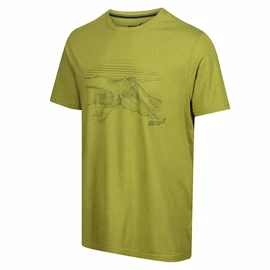 Herren T-Shirt Inov-8 Graphic "Helvellyn" Green