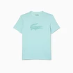 Herren T-Shirt Lacoste  Core Performance Light Green
