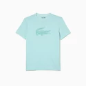 Herren T-Shirt Lacoste  Core Performance Light Green