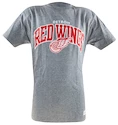 Herren T-Shirt Mitchell & Ness Team Arch NHL Detroit Red Wings