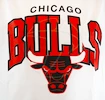 Herren T-Shirt Mitchell & Ness Team Arch White NBA Chicago Bulls