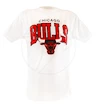 Herren T-Shirt Mitchell & Ness Team Arch White NBA Chicago Bulls