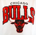 Herren T-Shirt Mitchell & Ness Team Arch White NBA Chicago Bulls