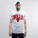 Herren T-Shirt Mitchell & Ness Team Arch White NBA Chicago Bulls