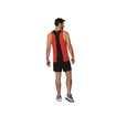 Herren T-Shirt Mizuno  DryAeroFlow Tank Grenadine