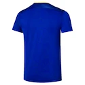 Herren T-Shirt Mizuno  Frontier Shadow Graphic Tee M Bellwether Blue