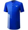Herren T-Shirt Mizuno  Shadow Polo Blue