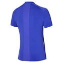 Herren T-Shirt Mizuno  Shadow Polo Violet Blue