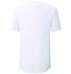 Herren-T-Shirt Mizuno Shadow Polo Weiß