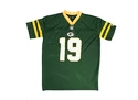 Herren T-Shirt New Era  NFL oversized tee Green Bay Packers
