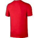 Herren T-Shirt Nike Squad Paris SG