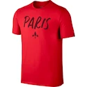 Herren T-Shirt Nike Squad Paris SG