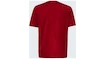 Herren T-Shirt Oakley  O-BOLD ELLIPSE