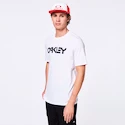 Herren T-Shirt Oakley  O-BOLD ELLIPSE