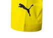 Herren T-Shirt Puma Borusse Borussia Dortmund 750725011