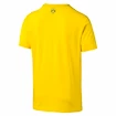 Herren T-Shirt Puma Borussia Dortmund Cyber