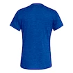 Herren T-Shirt Salewa  Puez Melange Dry S/S Tee Electric Melange