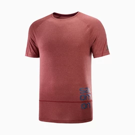 Herren T-Shirt Salomon Cross Run Graphic Tee Cabernet