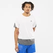 Herren T-Shirt Salomon Cross Run SS Tee White/Black