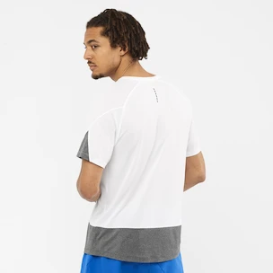 Herren T-Shirt Salomon Cross Run SS Tee White/Black