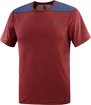 Herren T-Shirt Salomon  Outline SS Tee Cabernet