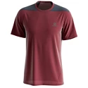 Herren T-Shirt Salomon  Outline SS Tee Cabernet