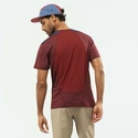 Herren T-Shirt Salomon  Outline SS Tee Cabernet