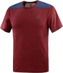 Herren T-Shirt Salomon  Outline SS Tee Cabernet XL
