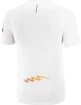 Herren T-Shirt Salomon Sense Aero SS Tee White/Autumn Blaze