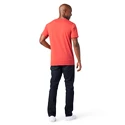 Herren T-Shirt Smartwool  Merino 150 Plant-Based Dye Earth Red Wash