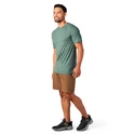 Herren T-Shirt Smartwool  Merino Sport 120 Mountain Biking Sage Heather