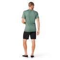 Herren T-Shirt Smartwool  Merino Sport 150 Overland Trek Sage Heather