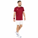 Herren T-Shirt Tecnifibre  Club Polo Cardinal