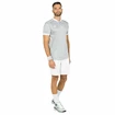 Herren T-Shirt Tecnifibre  Club Polo Silver