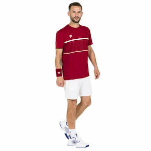 Herren T-Shirt Tecnifibre  Club Tech Tee Cardinal XL