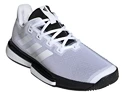 Herren Tennisschuhe adidas SoleMatch Bounce M White/Black