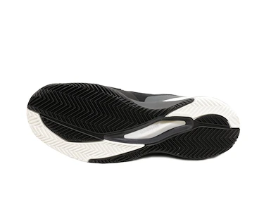 Herren Tennisschuhe Wilson Rush Pro 3.0 Clay Black/White