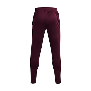 Herren Trainingshose Under Armour  Terry Pant Red XL