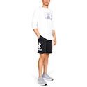 Herren Under Armour COTTON BIG LOGO SHORTS schwarz