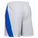 Herren Under Armour Launch SW 7" hellgraue Shorts