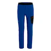 Herrenhose Salewa  Pedroc Light DST Electric 2X
