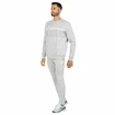 Herrenhose Tecnifibre  Club Pants Silver