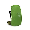 Herrenrucksack OSPREY ATMOS AG LT 65 scenic valley/green peppercorn